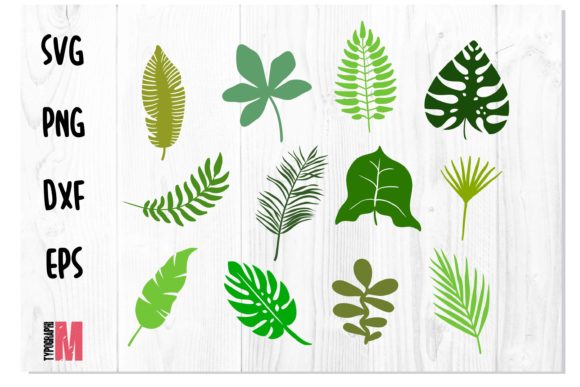 Download Jungle Leaves Tropical SVG Bundle - Tropical svg Collection